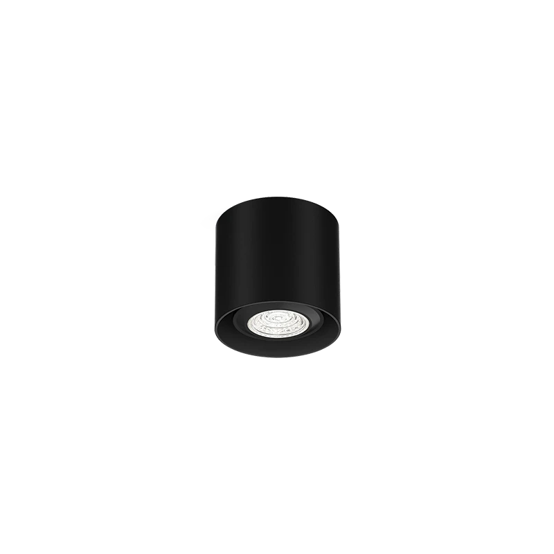 Ray mini 1.0 PAR16 plafondspot - Black