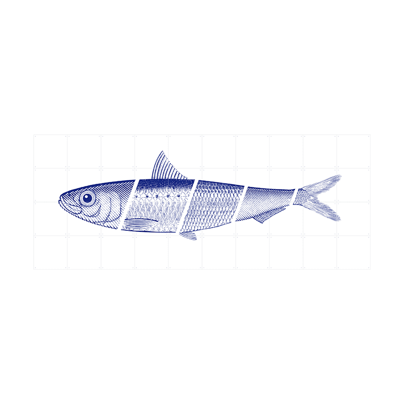 Blue fish - large