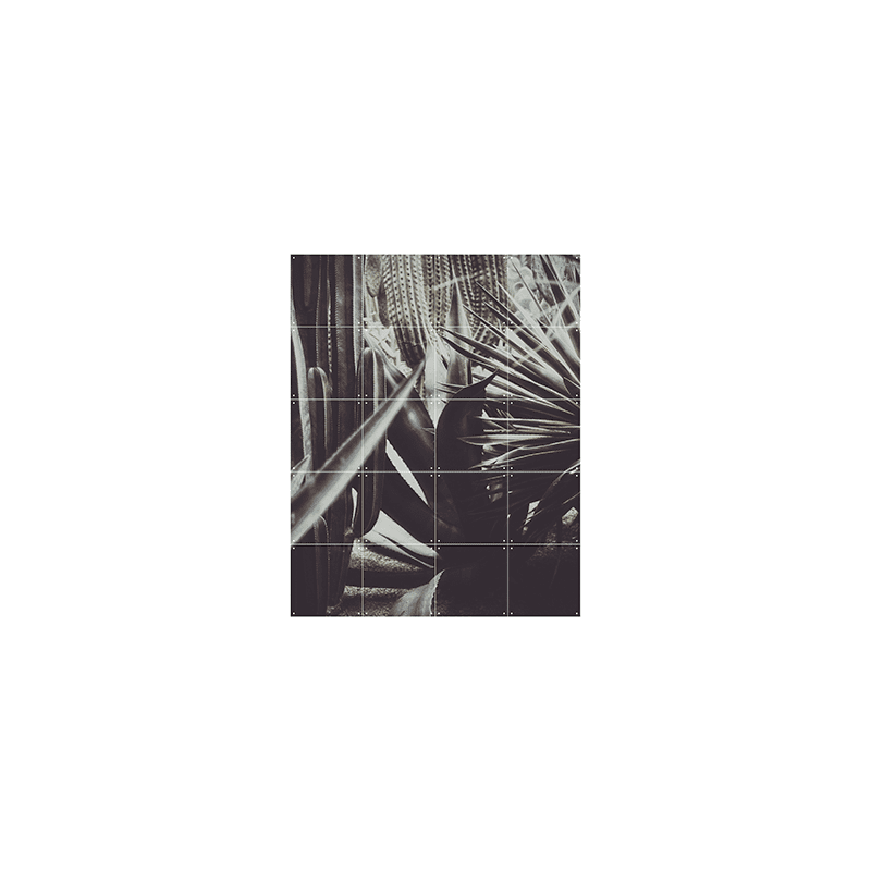 Polaroid of Saint Laurent - small
