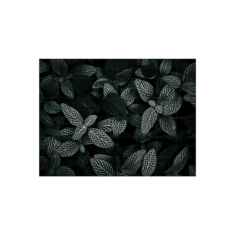 Cactus and leaves - large