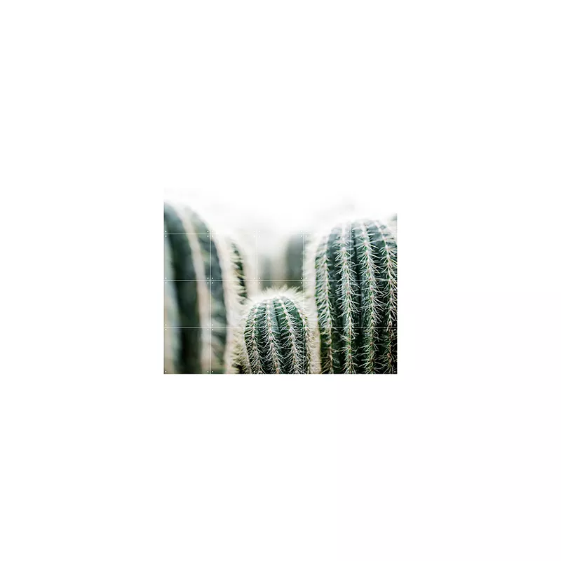 Cactus and leaves - small