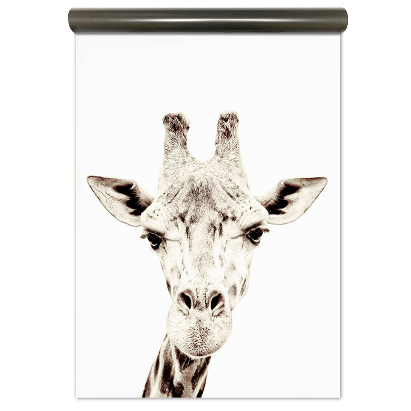 Magneet behang premium - Giraffe