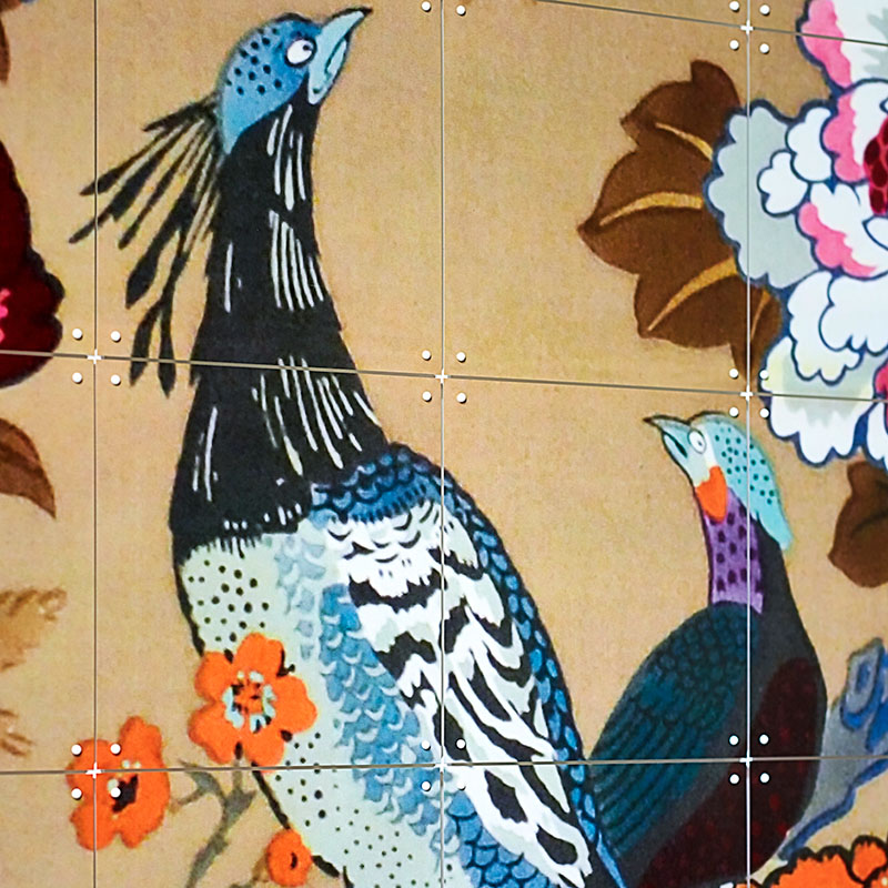 Tropical Birds - large