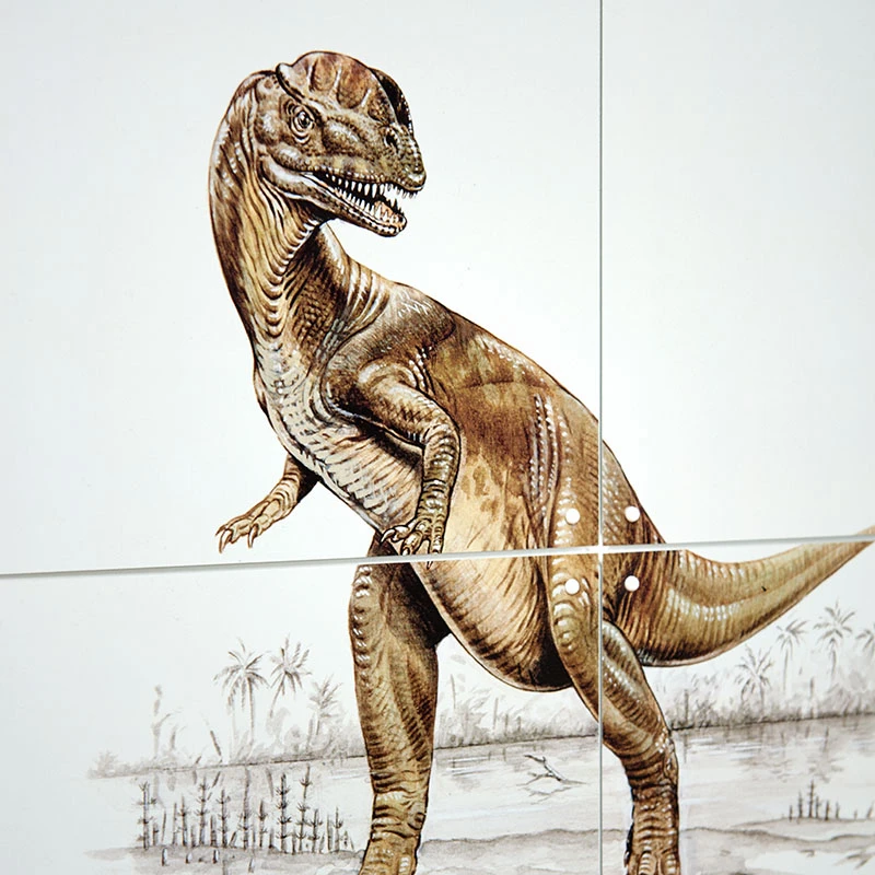 Dino World