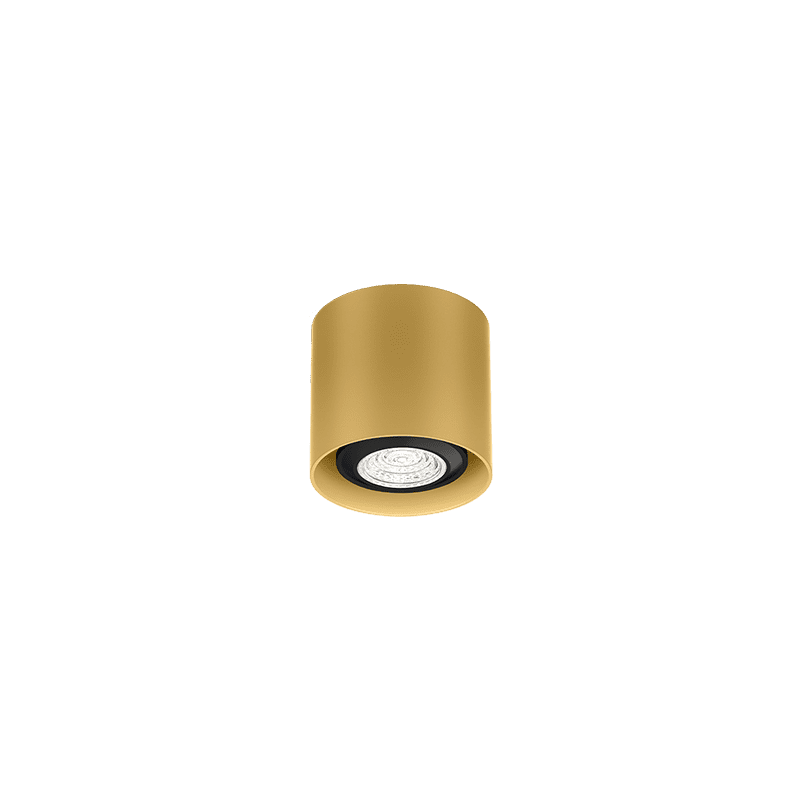 Ray mini 1.0 PAR16 plafondspot - Gold