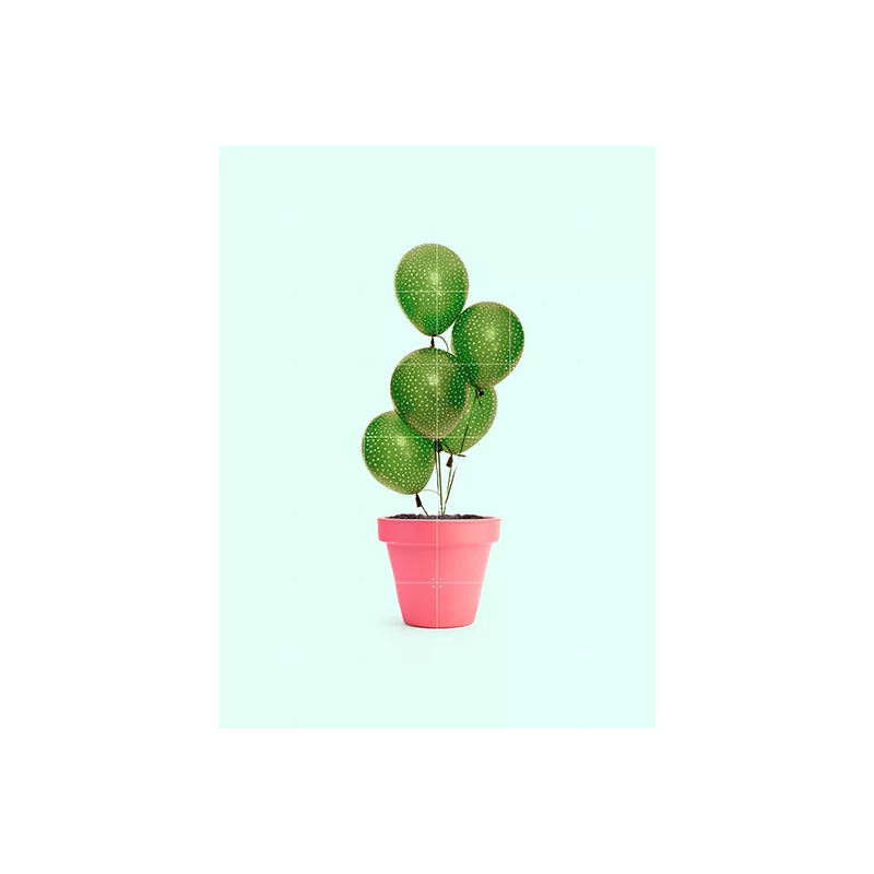 Cactus & Balloons - large