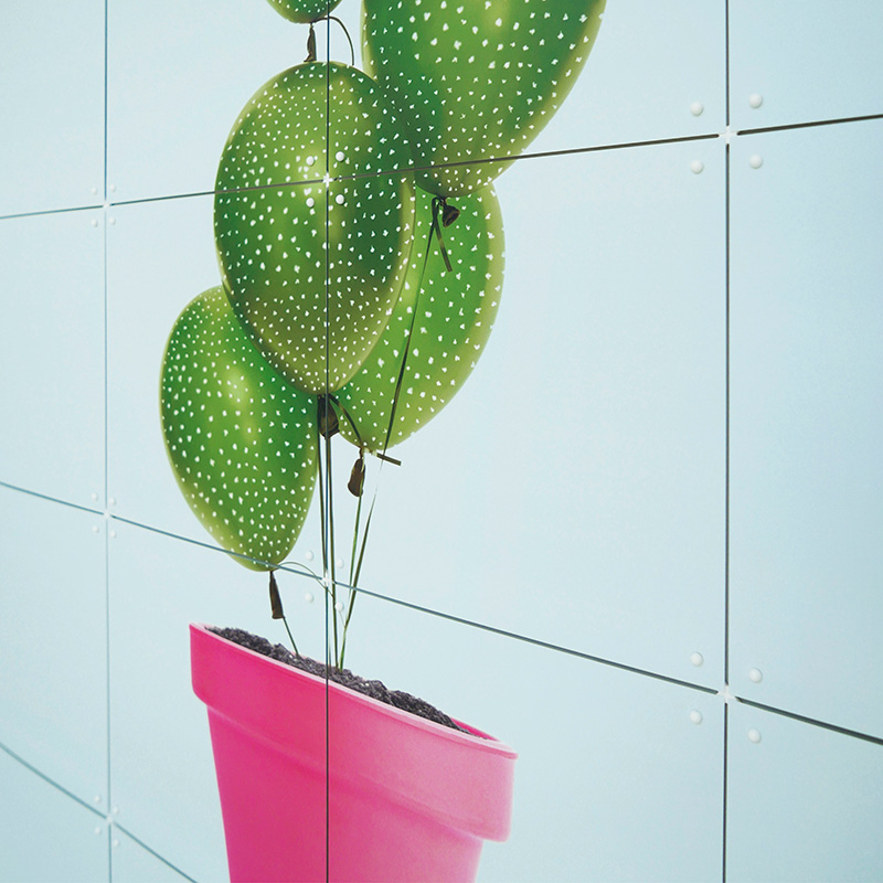 Cactus & Balloons - large
