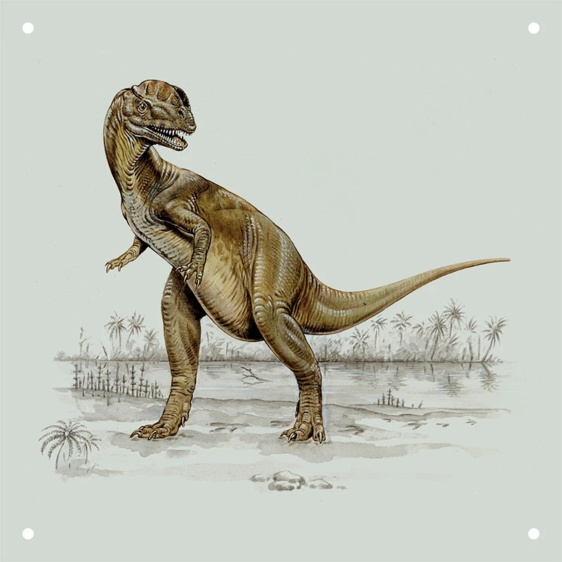 Dino World