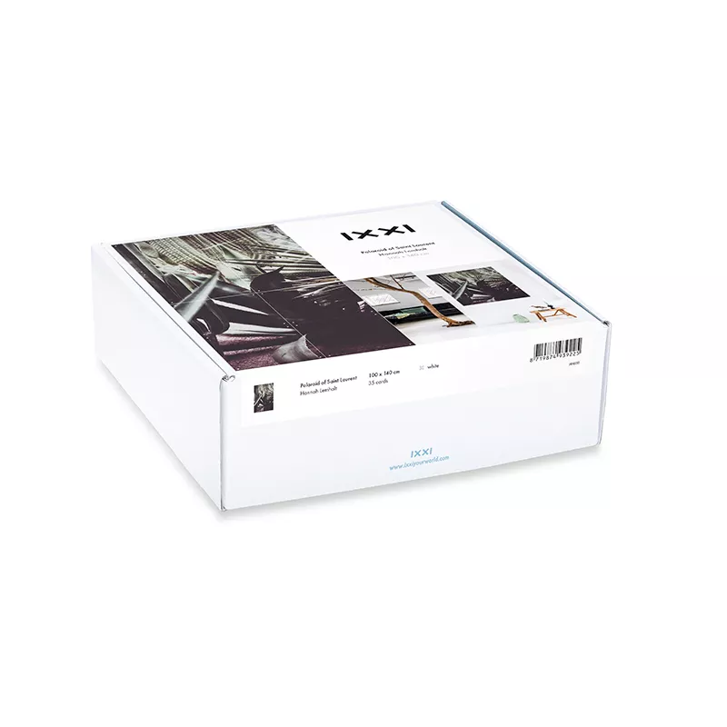 Polaroid of Saint Laurent - small