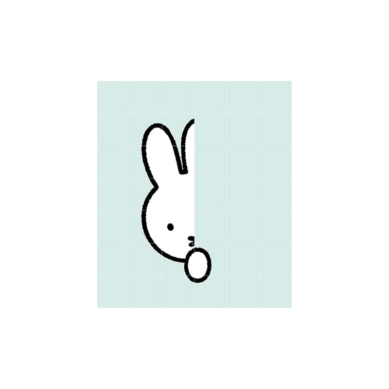 Miffy Hide and Seek - large