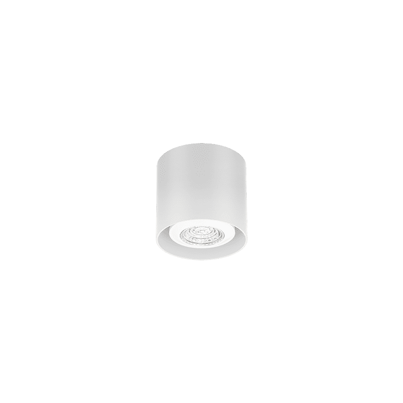 Ray mini 1.0 PAR16 plafondspot - White