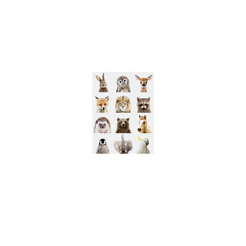 Animal family