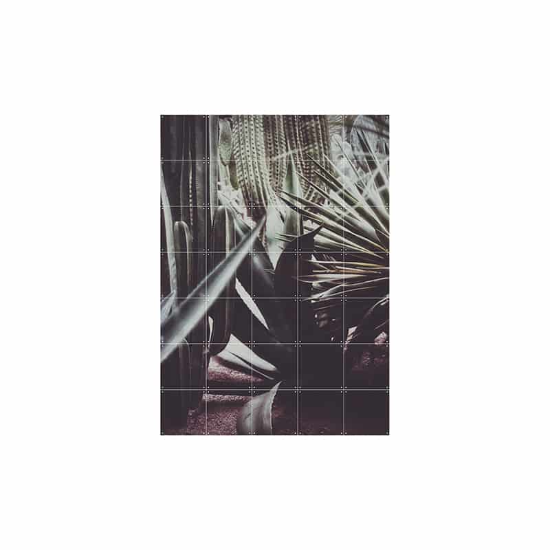 Polaroid of Saint laurent - large