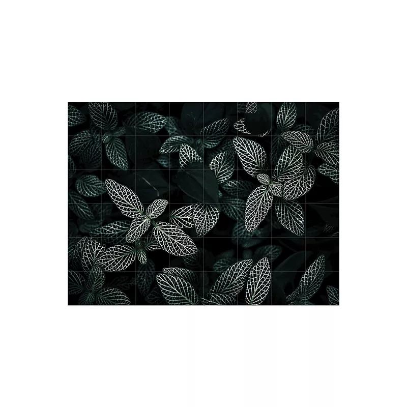 Cactus and leaves - large