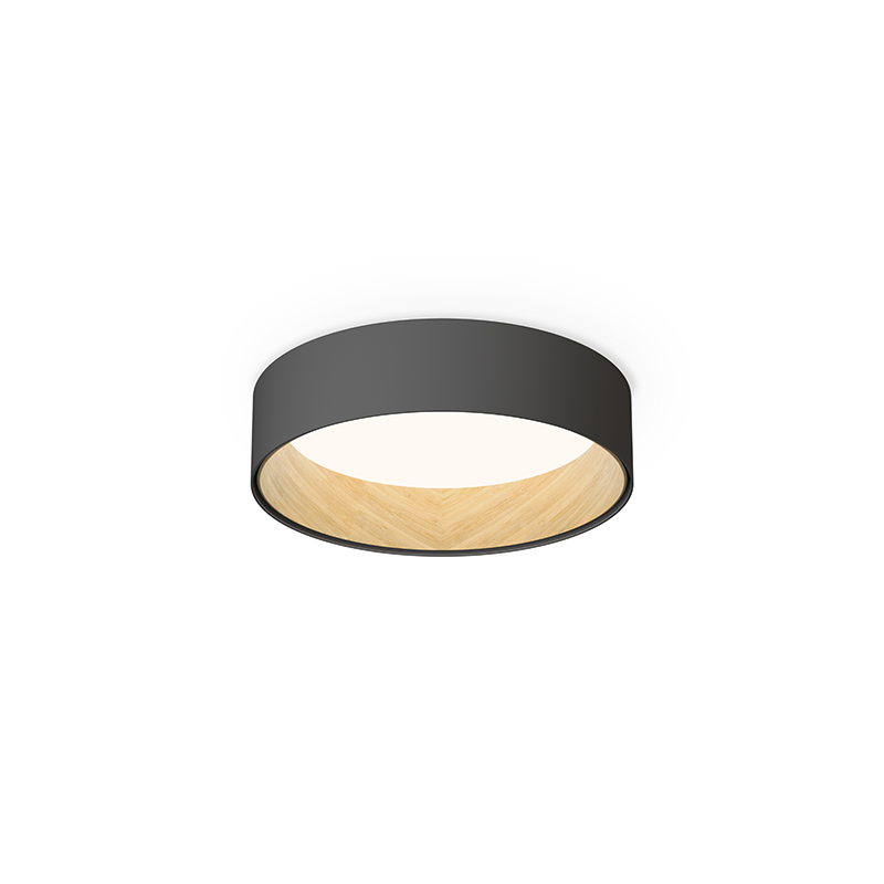 Duo 4870 plafondlamp - Graphite
