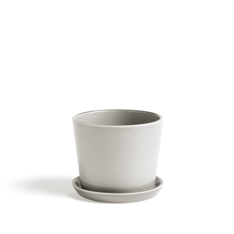 Botanical Family Set M - Light grey