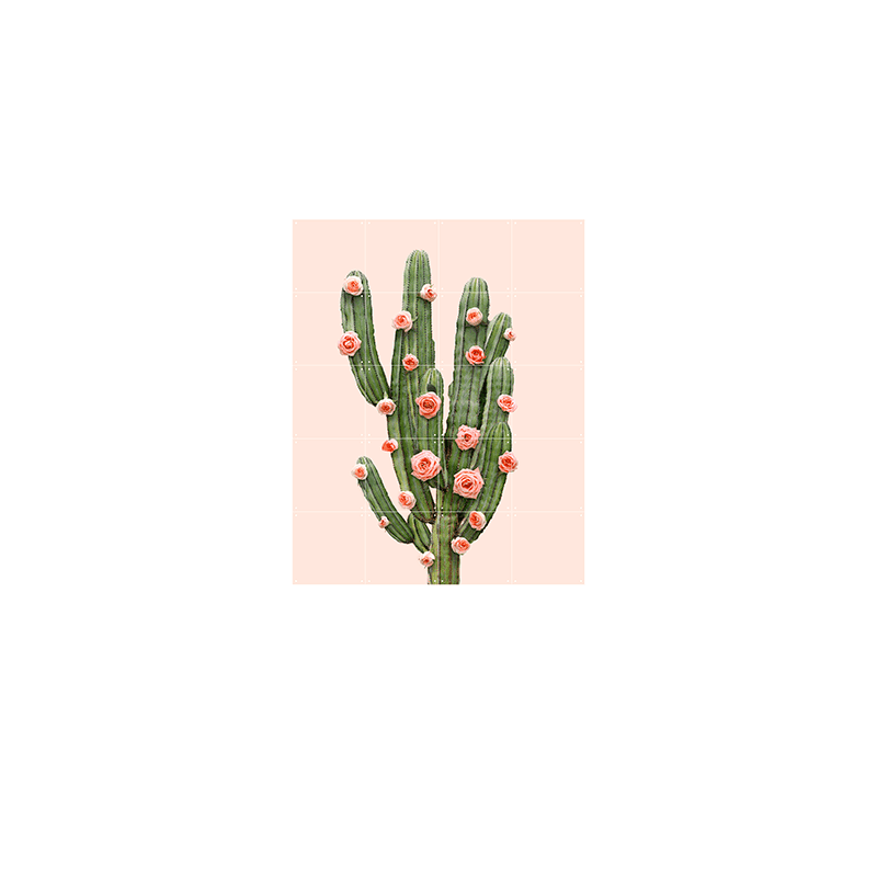 Cactus & Balloons - small