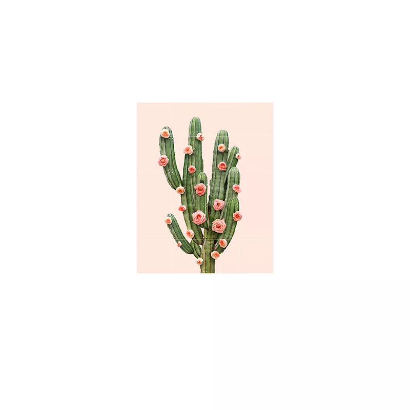 Cactus & Balloons - small