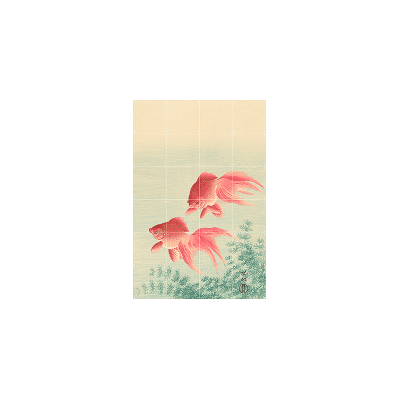 Two Goldfish - small