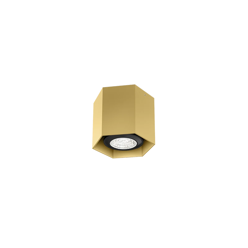 Hexo mini 1.0 PAR16 plafondspot - Gold