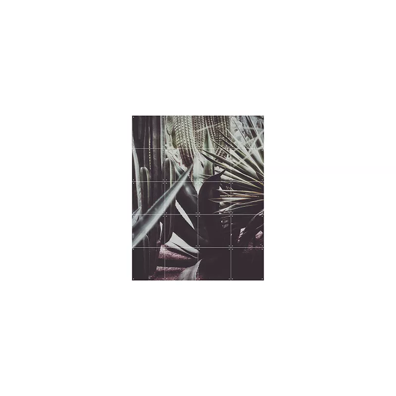 Polaroid of Saint Laurent - small
