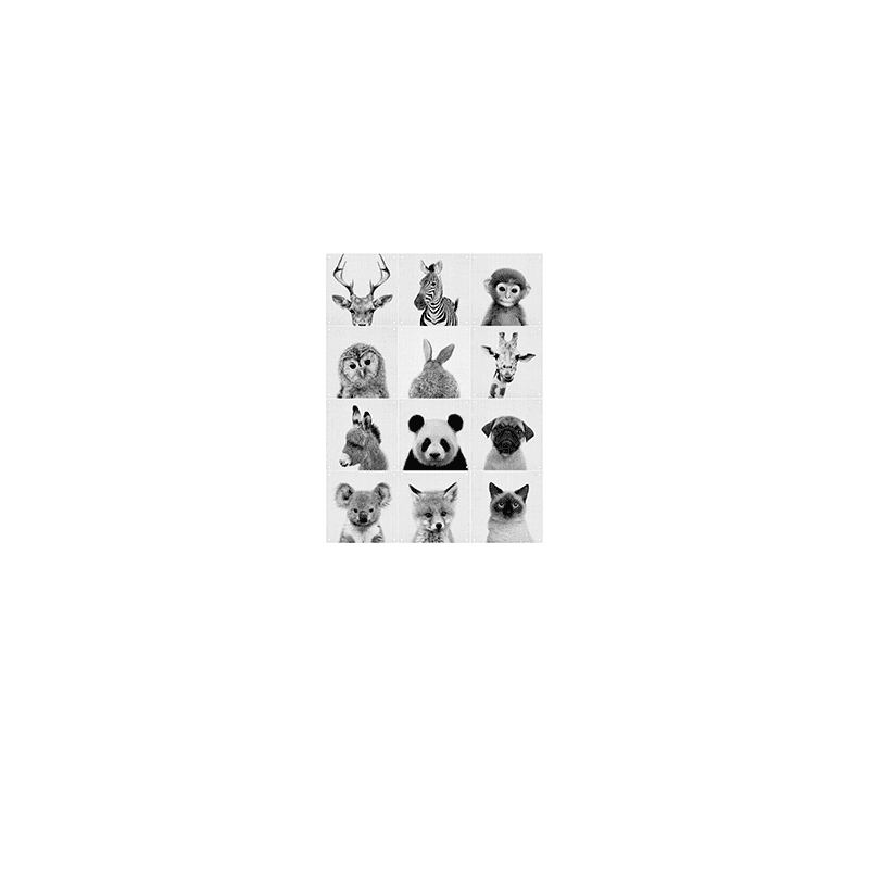 Animal family