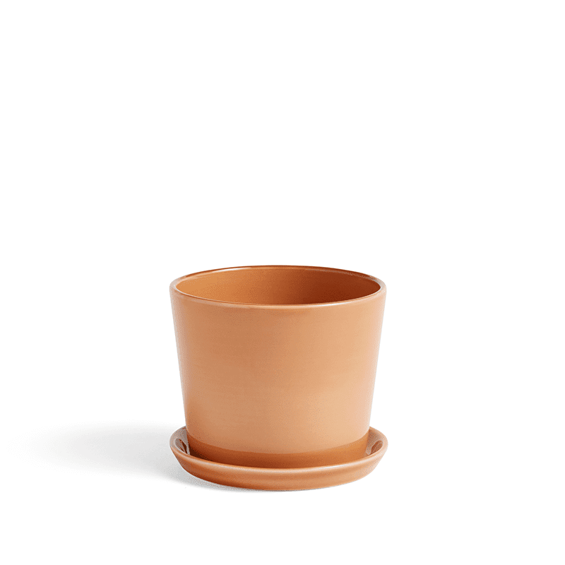 Botanical Family Set M - Caramel