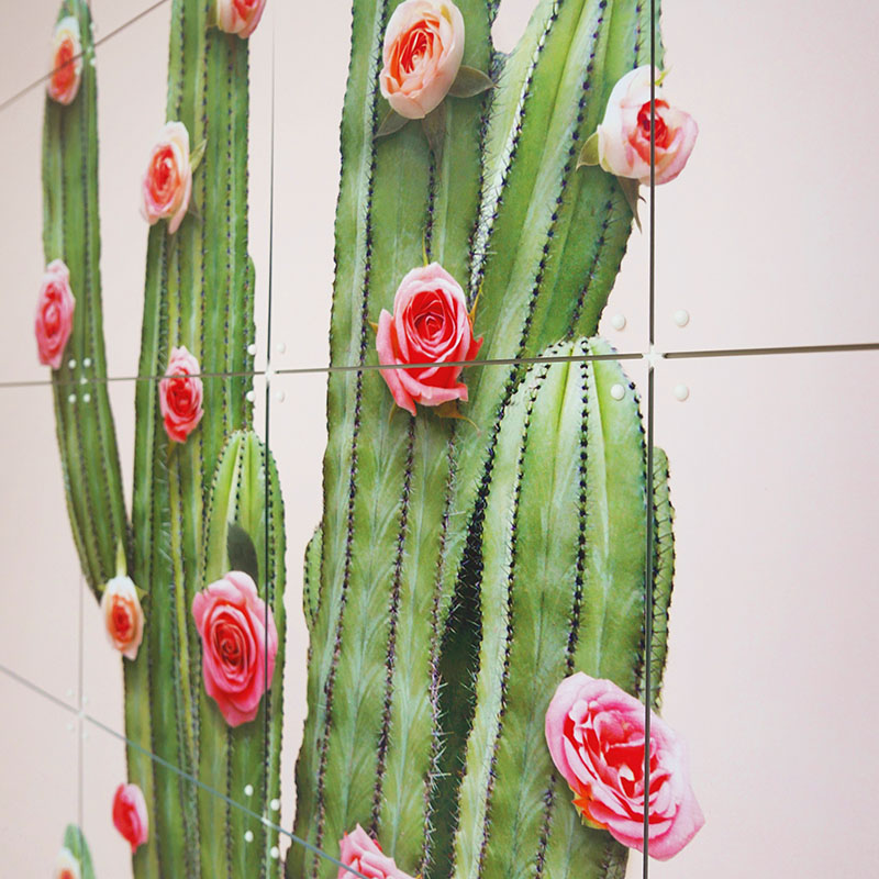 Cactus & Balloons - large